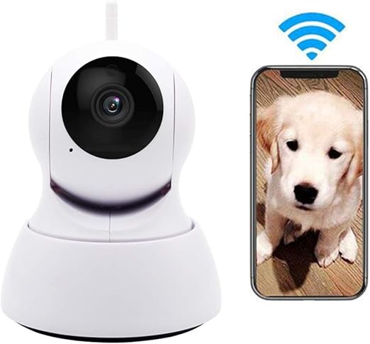 two way camera for dogs