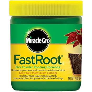 Miracle-Gro FastRoot Dry Powder Rooting Hormone Jar, 1-1/4-Ounce