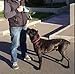 TaoTronics Retractable Dog Leash, 16 ft Dog Walking Leash for Medium Large Dogs up to 110lbs, Tangle Free, One Button Break & Lock , Dog Waste Dispenser and Bags included