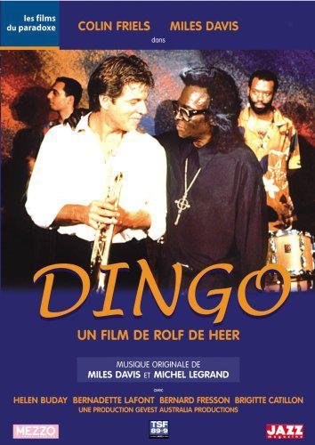 Dingo