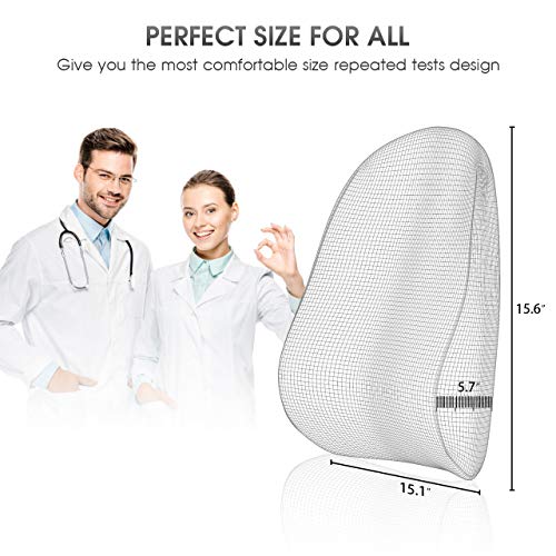 HOKEKI Lumbar Support Pillow, Meets The Ergonomic Memory Foam Lumbar