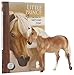 Breyer Classics Little Prince: Book and Horse Toy Set (1:12 Scale)