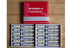 OVENOT 24 Plate 28X1 A2 Denture Shanghai ACRYLIC RESIN Teeth Dental Size 23