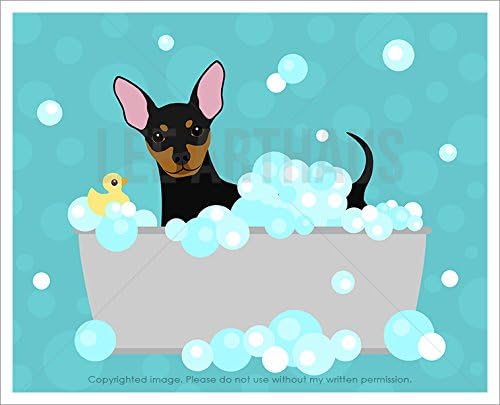 A 336D - Black and Tan Min Pin Miniature Pinscher Dog in Bubble Bath Bathtub UNFRAMED Wall Art Print by Lee ArtHaus