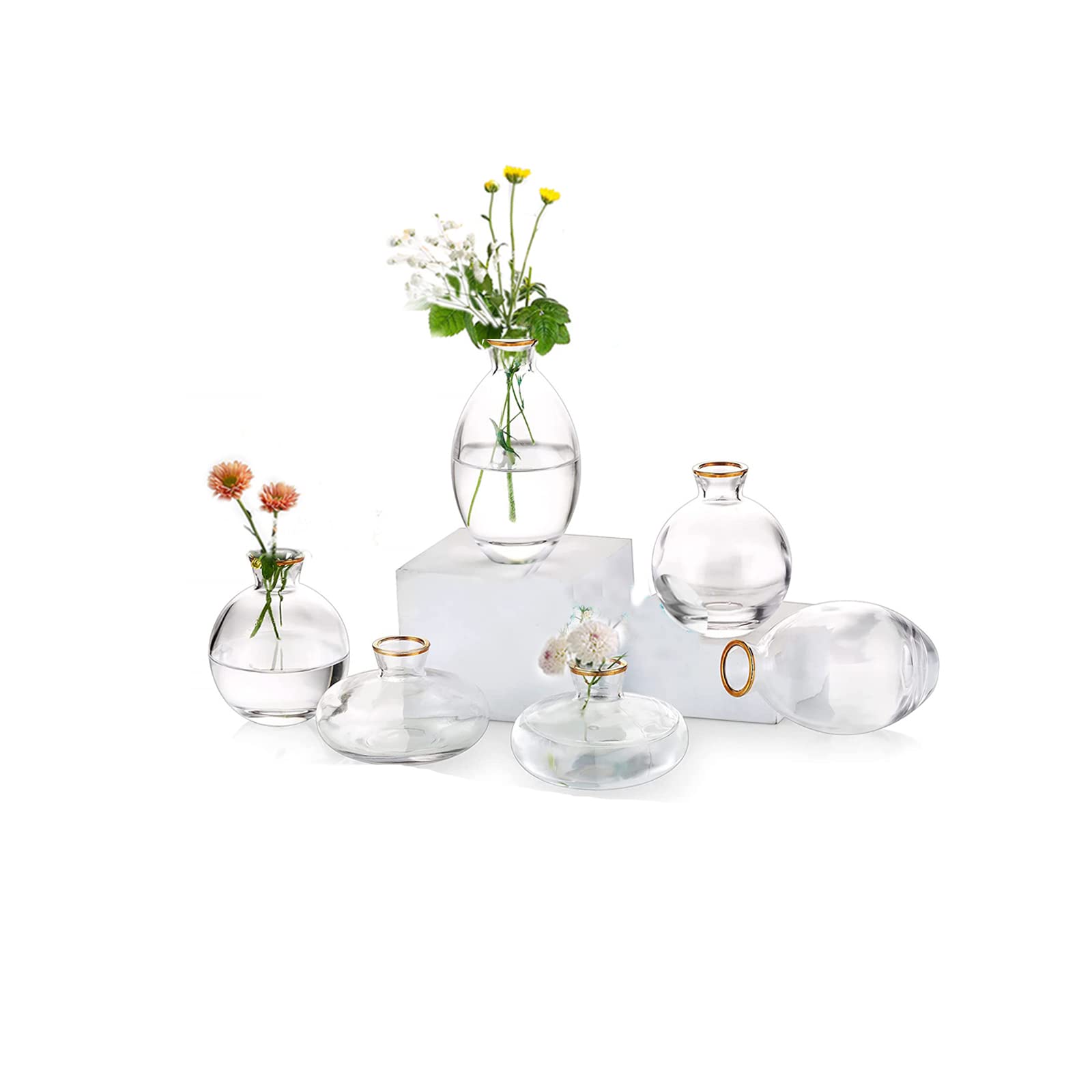 EylKoi Bud Vases Glass Mordern - 2sets(6Pcs) Clear with Gold Rim Small Vases for Centerpieces, Small Vase Mini Vases Flower Vase Mini Tiny Vases for Home Decor Wedding Decorative Centerpieces,Events