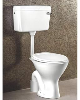 Parryware Sofia C841d Ceramic Closet White Two Pieces Amazon In