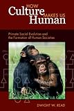 How Culture Makes Us Human : Primate Evolution and the Formation of Human Societies, Read, Dwight W., 1598745891