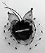 Coolwife Womens Fascinator Veil Flower Cocktail Tea Party Headwear (Black)