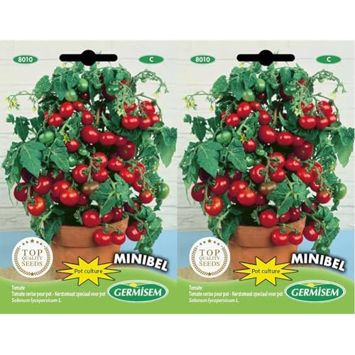 Germisem Minibel Semi di Pomodoro 0.5 g (Confezione da 2)