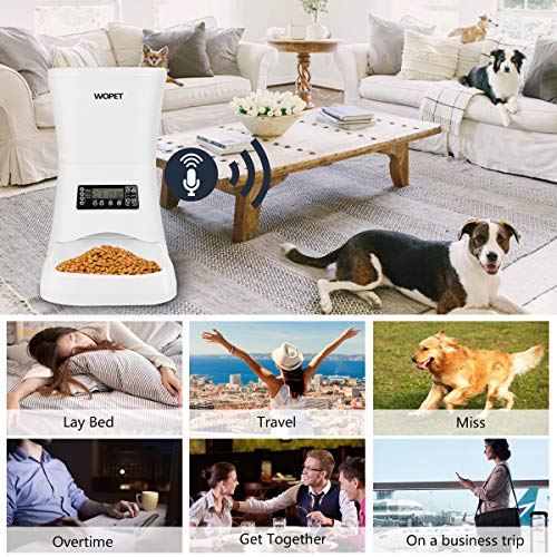 WOPET Automatic Pet Feederï¼ŒDog and Cat Food Dispenser with Timer Programmable, Distribution Alarms,Portion Control,Voice Recording Up to 4 Meals a Day