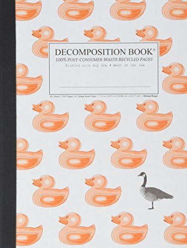 Decomposition Books, Book Duck Duck Goose