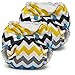 Kanga Care Lil Joey Newborn All in One AIO Cloth Diaper (2pk) Charlie 4-12lbs