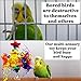 Luffy Star Shredder Bird Toy, 9×6 Inches, Brightly Colored Playtoy of Rattan, Wood and Shredded Paper, Safe for Small and Medium Parrots, Cockatiels, Lovebirds and Finchesthumb 3