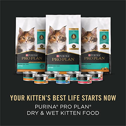 Purina Pro Plan Kitten Food Complete and Balanced Kitten Starter Kit