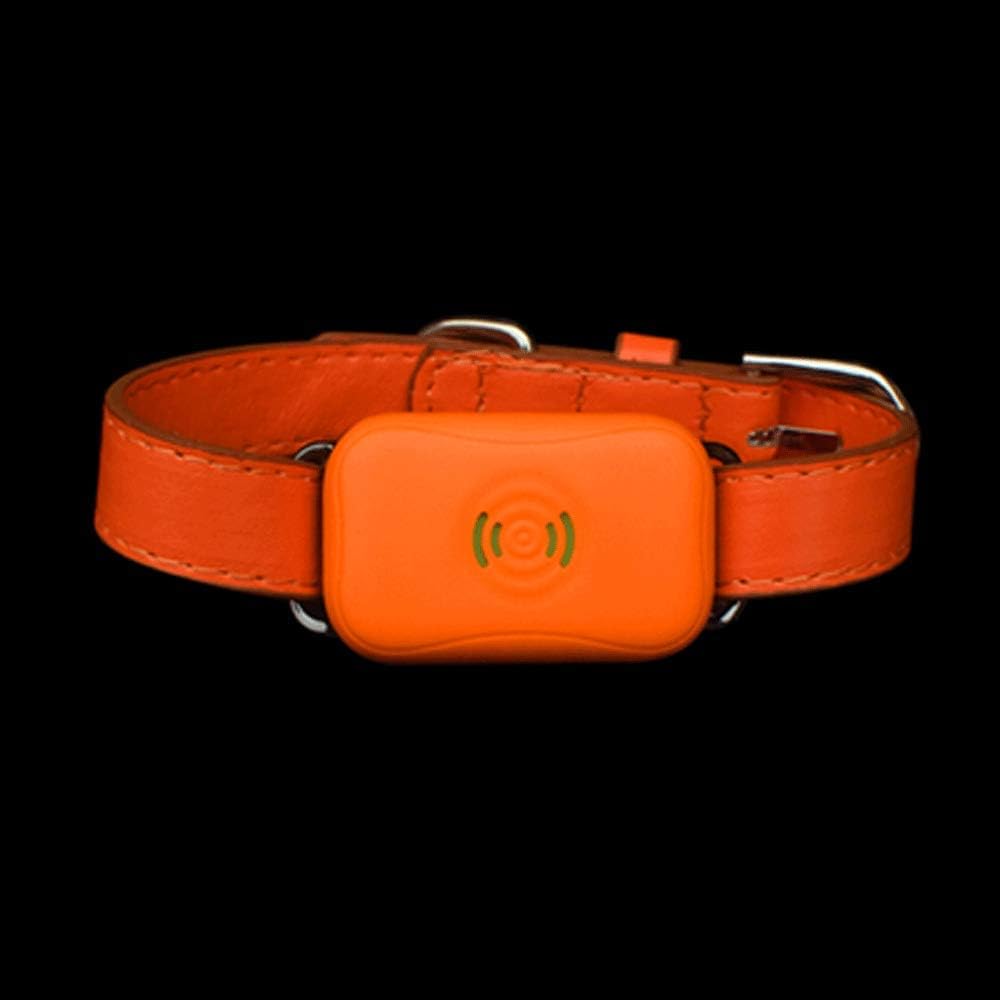 inseguitori per piccoli animali domestici