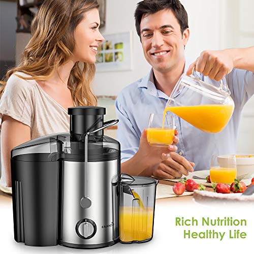 4 Easehold+Juicer+Vegetable+Extractor+Container