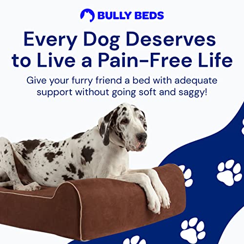 Bully Beds Orthopedic Dog Bed Memory Foam Dog Bed for Arthritic