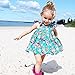 GRNSHTS Baby Girls Flower Print Ruffles Dress Set with Briefs (70 cm/ 0-6 Months, Floral Dress & Briefs)