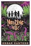 Meddling Kids: A Novel