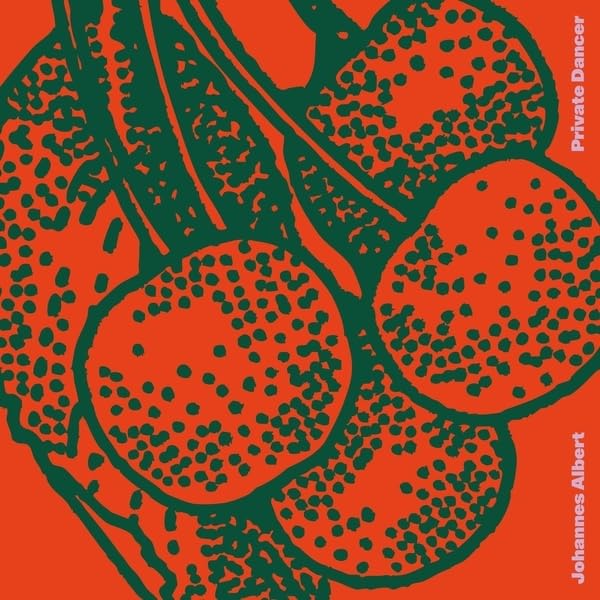 Private Dancer Image