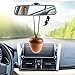 Wooden Essential Oil Car Diffuser Aromatherapy Essential Oil Perfume Acorn Car Diffuser Hang Decoration