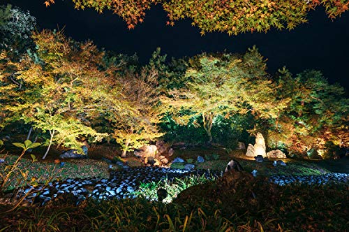15W LED landscape light Outdoor Landscape Spotlights with Spike Stand 12V Low Voltage landscape lighting, IP66 Waterproof Garden Yard Trees Flags Pathway Lights Warm White(950LM, 3500K), 8pack