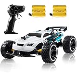 Kids Remote Control Car, 2.4Ghz High Speed RC Car Offroad, 1:18 2WD Toy Cars Buggy for Boys & Girls with Two Rechargeable Batteries for Car, Gift for Kids