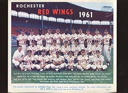 red wings team store