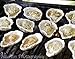 Loftin Oysters Ceramic Reusable Chargrilling, Cooking Oyster Shells, set of 12. Great for all Seafood.