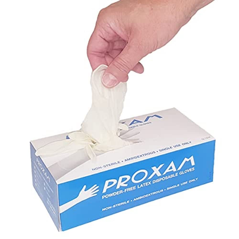 Value Aid Latex Powder Free Non-Sterile Gloves - Box of 100 - Large