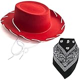 Costume Hat - Cowboy Hat - Cowboy Costume - Cowgirl Hats w/Paisley Bandana by Funny Party Hats