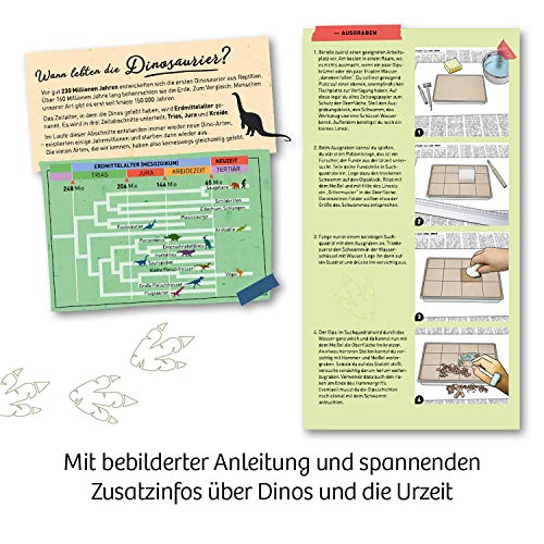Nachtleuchtender T-Rex Ausgrabungs-Set – Bild 6