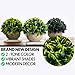 Sophia's Garden Artificial Plants Fake Plants for Plant Decor, Cute, Realistic Desk Plant - Small Artificial Plants Fake Plant Artificial Plant for Home Decor Faux Plant Feaux