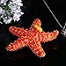 YU FENG Starfish Figurine Trinket Box Hinged Collectible Crystal Jeweled Sea Animal Decor Ornament