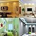 Lumcrissy led Light Strip -12V LED Strip Lights Waterproof 3528 SMD 5M 300LED 300 Units LEDs Light Strip (No Adapter)
