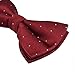 Alizeal Adjustable Neck Men's Pre-tied Bow Ties with Silver Dots-Dark Navy