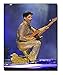 Prince Roger Nelson Memorabilia Prints/Photos (4 pack 8x10)