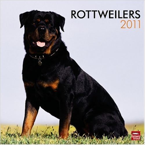 Httpc Mojewreviewscfcurrenttc3a9lc3a9chargez - 