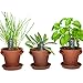 Window Garden Rustic Charm Herb Trio Kit with Planter Pots, Slate Markers, Fiber Soil, Germination Bags, Basil, Chive and Sage Seeds. Complete and Easy to Grow on Indoor Kitchen Windowsill.