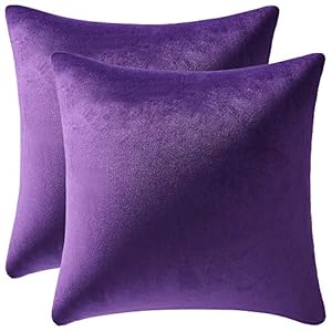 DEZENE Decorative Cushion Covers,2 Pack, Solid Soft Velvet Square Throw Pillow Cases,Accent Pillowcases,Euro Cushion Covers for farmhouse,Couch,Sofa,Kids,indoor & outdoor,16 x 16 Inch,Purple