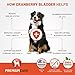 Premium Care Cranberry Bladder Chews - Dog Supplements for Urinary Tract (UT) Health, Bladder and Kidney Support - Cranberry Chewables with Vitamins for Better Bladder Control for Dogs - 120 Chews