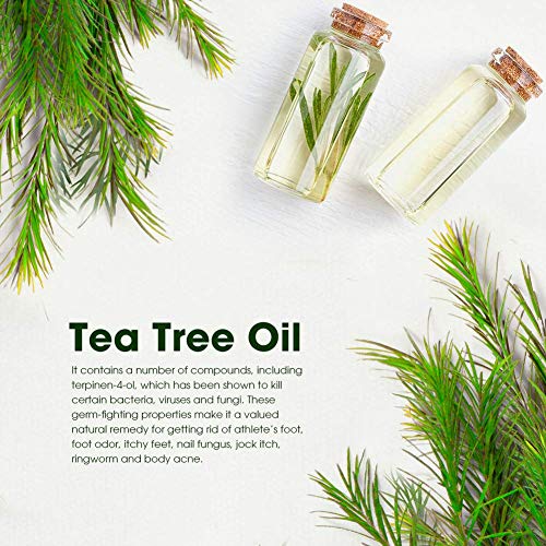Aprilis Antifungal Tea Tree Oil Body Wash | Helps Relieve Athleteâ€™s Foot, Ringworm, Toenail Fungus, Jock Itch, Acne, Eczema & Body Odor, Aprilis Antibacterial Soap - Soothes Itching & Promotes Healthy