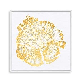 Framed Canvas Home Artwork Decoration Annual Ring Canvas Wall Art for Living Room, Bedroom - 16x16 inches