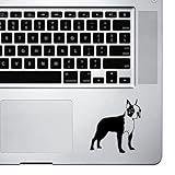StickAny Palm Series Boston Terrier 5 Sticker for Macbook Pro, Chromebook, and Laptops (Black)