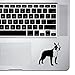 StickAny Palm Series Boston Terrier 5 Sticker for Macbook Pro, Chromebook, and Laptops (Black)