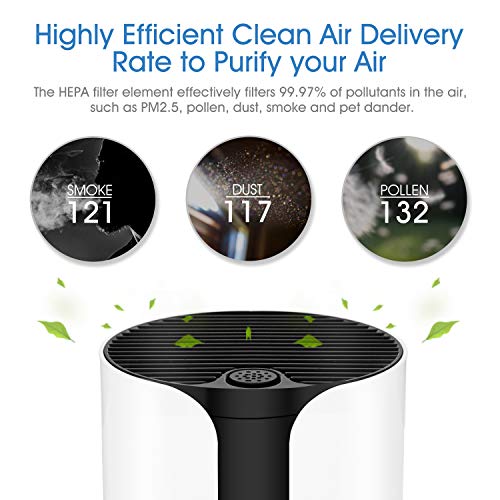 Membrane Solutions Air Purifier with True HEPA Filter, Filtration