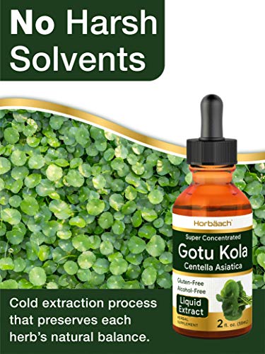 image for Horbäach Horbaach Gotu Kola Extract | 2 Oz | Alcohol Free | Super Con
