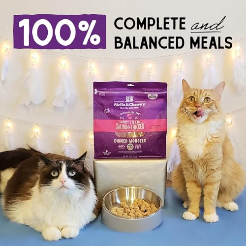 STELLA & CHEWY’S FREEZE-DRIED RAW CAT DINNER MORSELS – PREMIUM SALMON & CHICKEN RECIPE WITH 98% WILD-CAUGHT & CAGE-FREE PROTEIN – NATURAL GRAIN-FREE CAT & KITTEN FOOD – MADE IN USA – 8 OZ