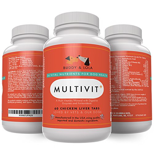 Best Senior Dog Vitamins Supplement 1 Multivitamin for Nutrients