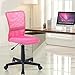 EuroStile Desk Chair Mid-Back Adjustable Mesh Chair Ergonomic Swivel Computer Office Chair 8252S(Pink)